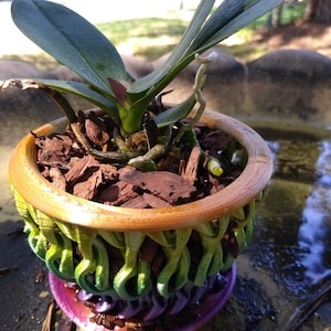 Heide added a photo of their purchase