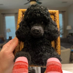 ali added a photo of their purchase