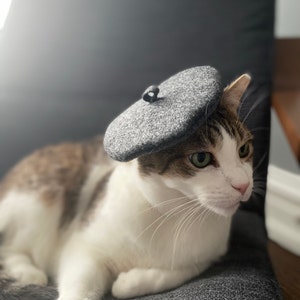 猫用グレーベレー帽 送料無料 - Etsy 日本