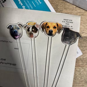 Izabela added a photo of their purchase
