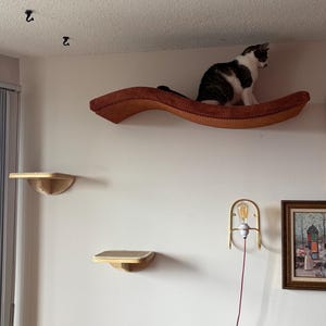 Michèle added a photo of their purchase