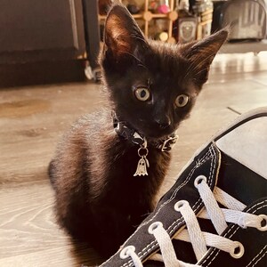 Comprador de Etsy ha añadido una foto de su compra