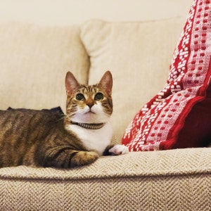 Molly added a photo of their purchase