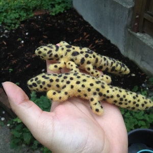 Kathleen added a photo of their purchase