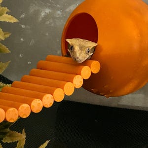 Sarah ha aggiunto una foto del proprio acquisto