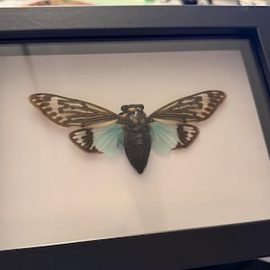 Lindsay added a photo of their purchase