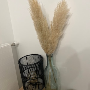 Carla ha aggiunto una foto del proprio acquisto