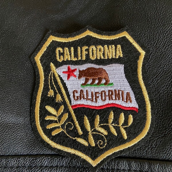 FIERCE NATURE Grizzly Bear 2 Oz Silbermünze 5$ Niue 2023 - Foto 4