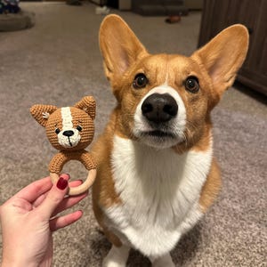 Lexi added a photo of their purchase