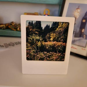 Kelly added a photo of their purchase