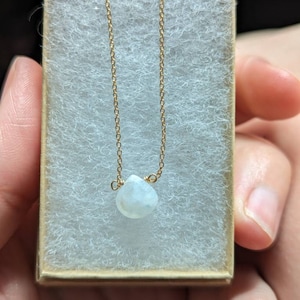 Sarah added a photo of their purchase