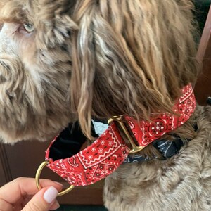 lisa added a photo of their purchase
