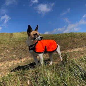 Emily added a photo of their purchase