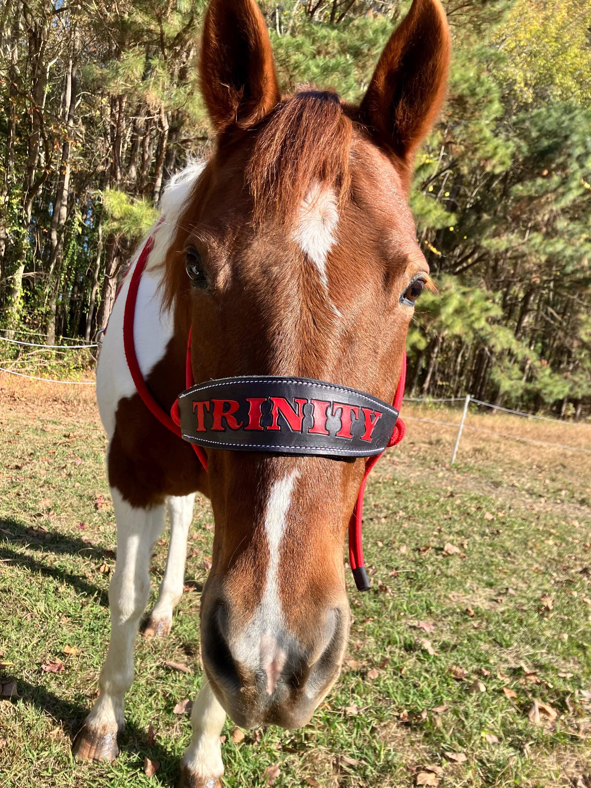Skinny Bronc Poly Rope Halter