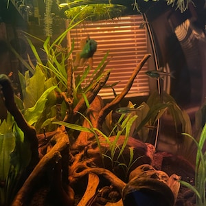 Asher added a photo of their purchase