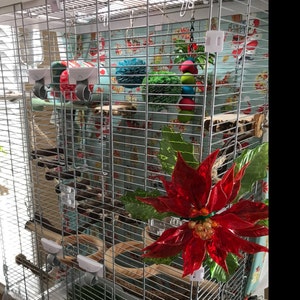 Dave added a photo of their purchase