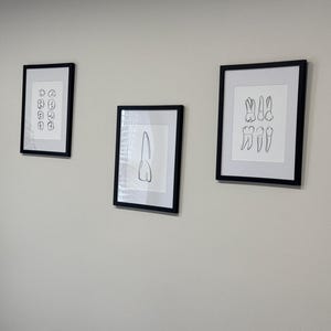 Jamey さんが購入した商品の写真を追加しました