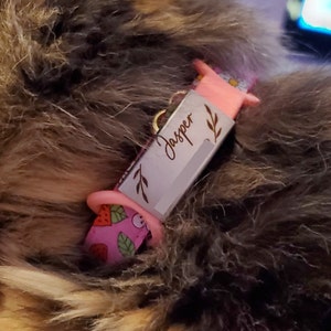Colleen ha añadido una foto de su compra