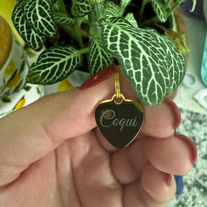 Kimberly added a photo of their purchase