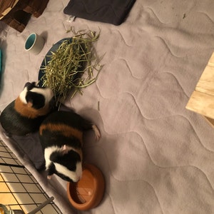 Claudia adicionaram uma foto da sua compra