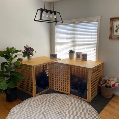 Dog Crate, Large Dog Crate, Luxery Dog Crate, Dog House Kennel, Dog ... - Extra Large Dog Crate For Homes With Extra Space