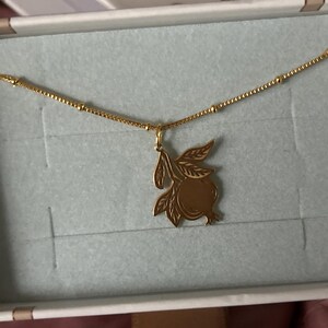 Customer photo, Pomegranate Necklace