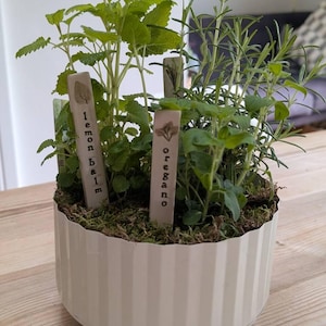 Julie added a photo of their purchase