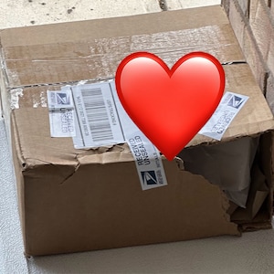 Liv added a photo of their purchase