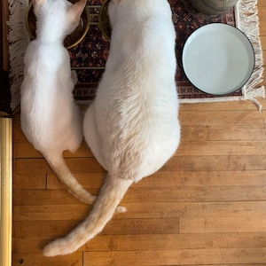 C. added a photo of their purchase