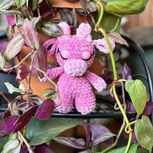 Kristi added a photo of their purchase