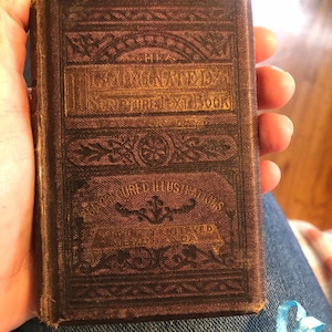 Anneliese added a photo of their purchase