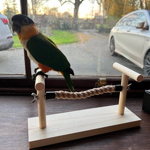 Table Top Perch for Bird Budgie Cockatiel Parrot Kiln Dried Pine Dowel ...