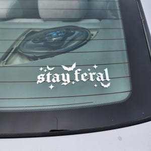 Rachel added a photo of their purchase