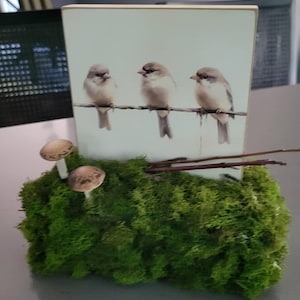 Lisa added a photo of their purchase