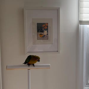 Jane lade till en bild av sitt köp