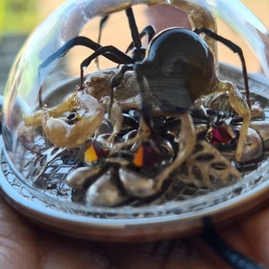 cao hat ein Foto des gekauften Artikels hinzugefügt