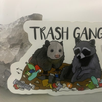 Ghost Raccoon Sticker, Halloween Spooky Vinyl, Cute Car Decal, Trick or ...