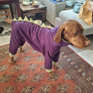 Turtle added a photo of their purchase