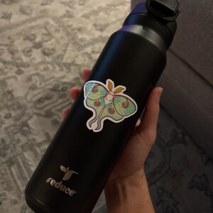 Milo added a photo of their purchase