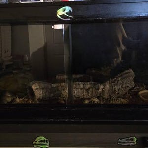 Blake added a photo of their purchase