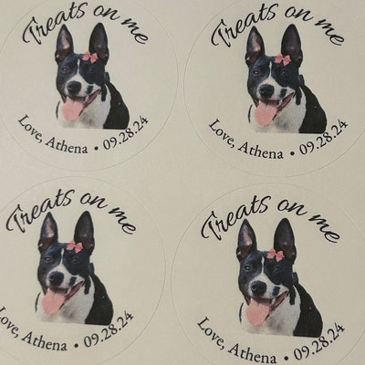 Printable Anniversary Card With Dogs, Wedding Anniversary Greeting Card ...