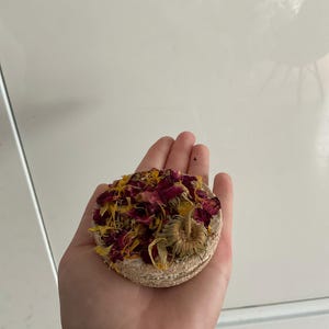 Maria added a photo of their purchase