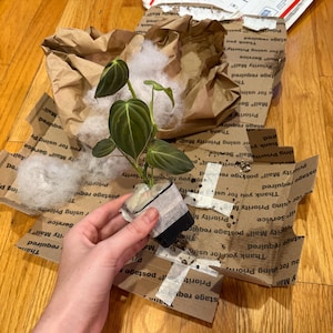 Autumn added a photo of their purchase