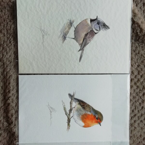 Robin Bird Watercolor Painting, Handmade Artwork, Bird Wall Decor - Etsy