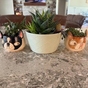 Kasey added a photo of their purchase