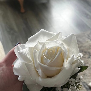 Rachel ha añadido una foto de su compra
