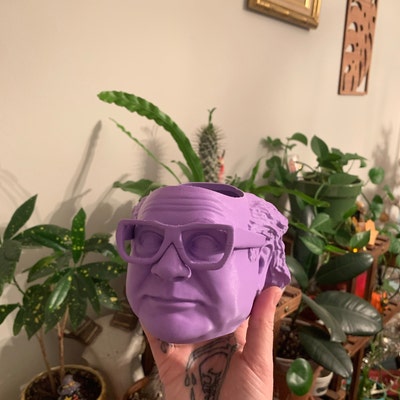 Danny Devito Planter Pot for House Plants and Succulents Devito Face 3D ...