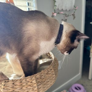 Ingrid added a photo of their purchase
