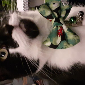 Victoria added a photo of their purchase