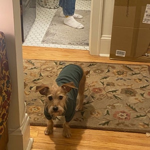 Madeline added a photo of their purchase